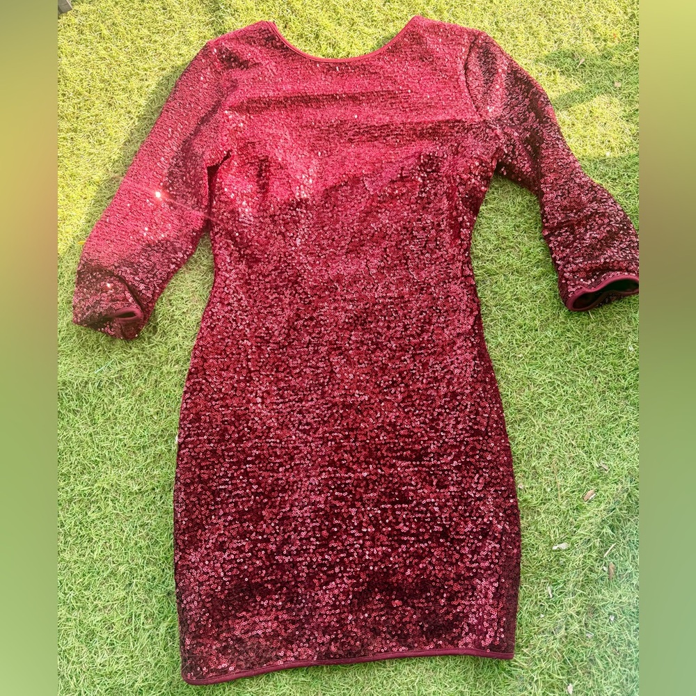 Zara Burgundy Sequin Long Sleeve Dress